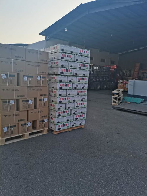 行李 包裹托運 上門服務 口碑好