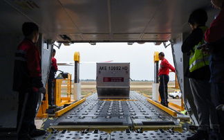 吉祥航空春運(yùn)保障130萬(wàn)件托運(yùn)行李